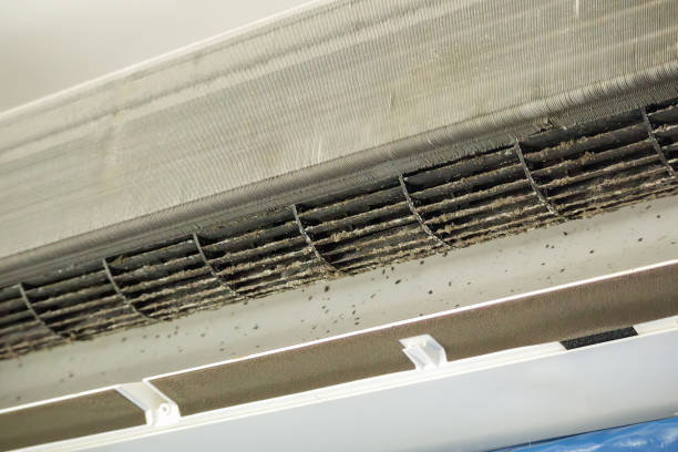 Best Ventilation Cleaning Services  in Mclendon Chisholm, TX
